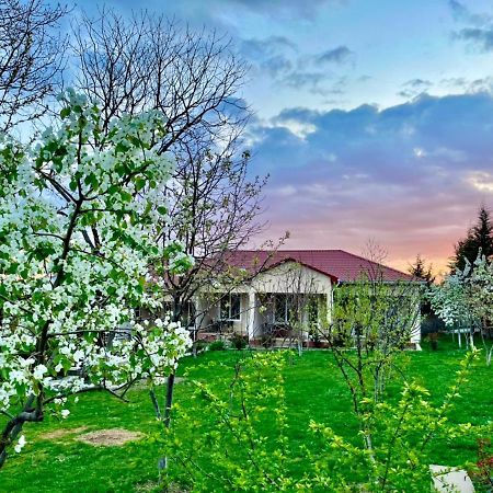 One Dom Cottage Gabala Exterior photo