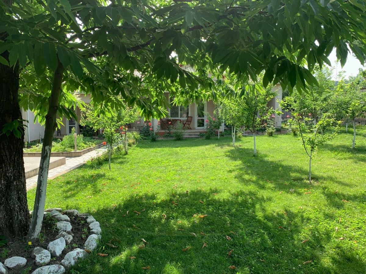 One Dom Cottage Gabala Exterior photo